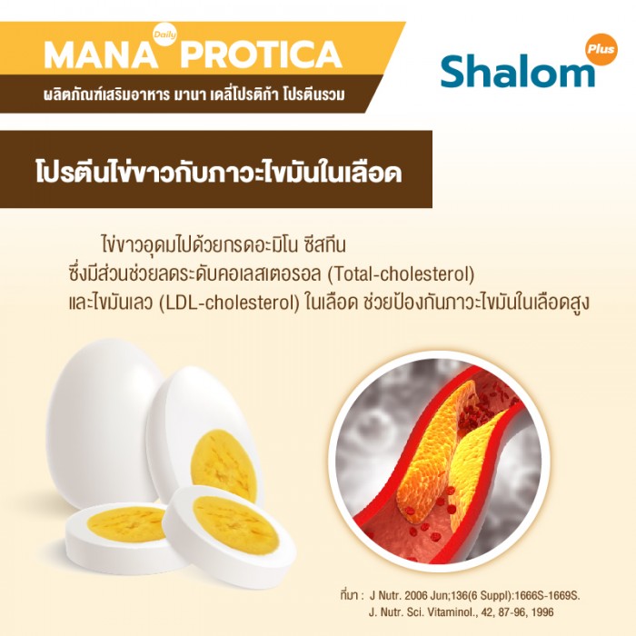 MANA Daily Protica Vanilla - Image 11