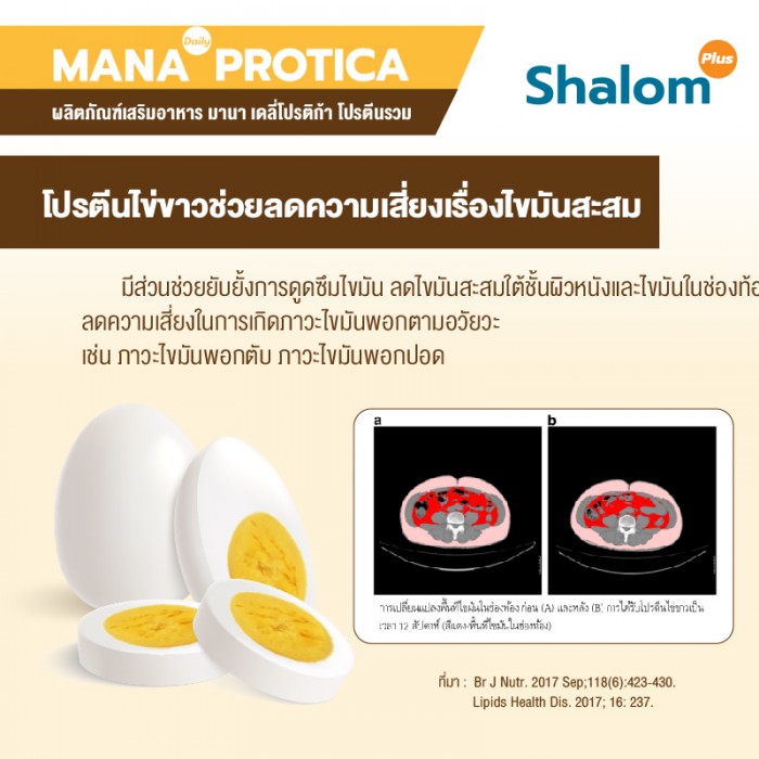 MANA Daily Protica Vanilla - Image 12