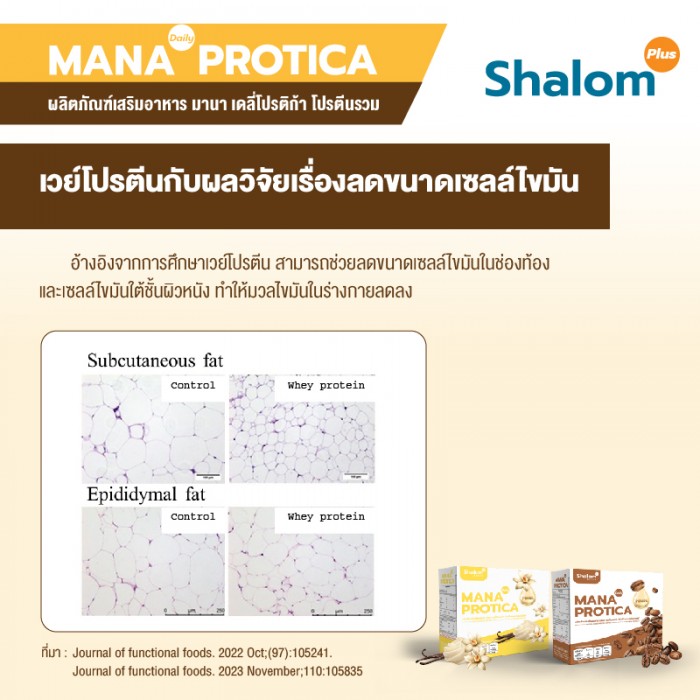 MANA Daily Protica Vanilla - Image 15