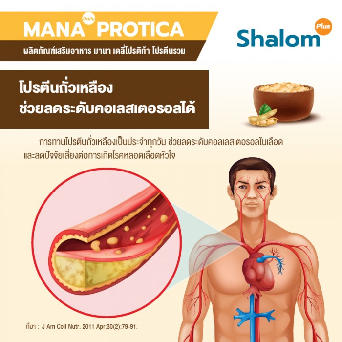 MANA Daily Protica Vanilla - Image 18