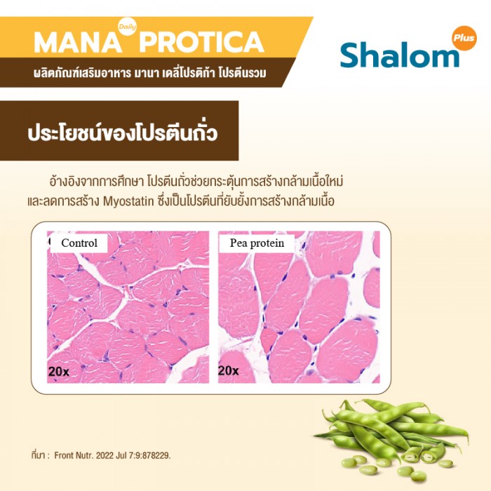 MANA Daily Protica Vanilla - Image 19
