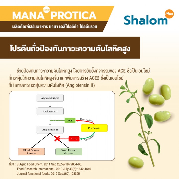MANA Daily Protica Vanilla - Image 20