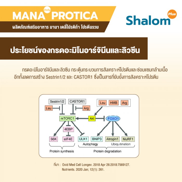MANA Daily Protica Vanilla - Image 24