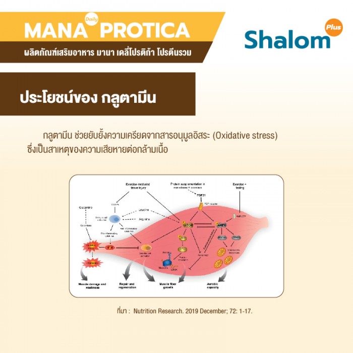 MANA Daily Protica Vanilla - Image 25