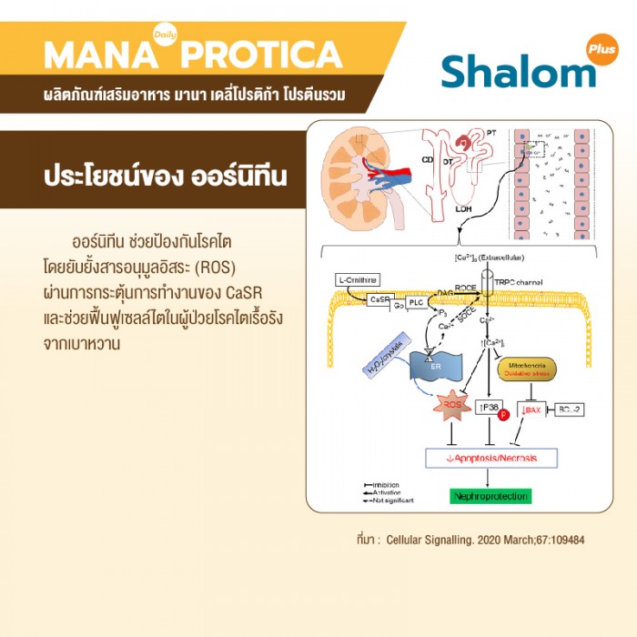 MANA Daily Protica Vanilla - Image 26
